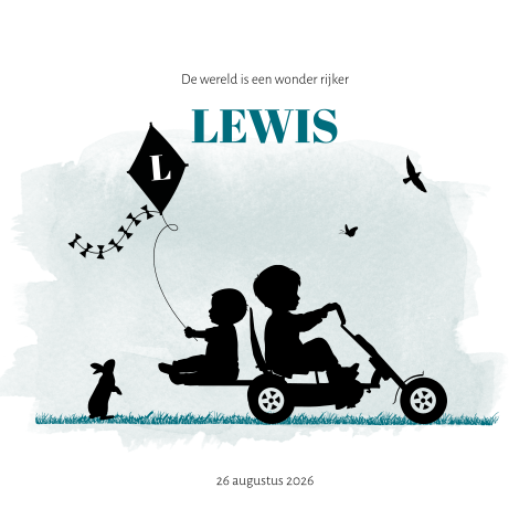 Skelter met 2 broertjes silhouet geboortekaartje