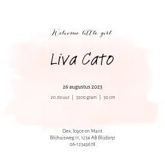 Geboortekaartje voor een zusje met tractor en vlieger