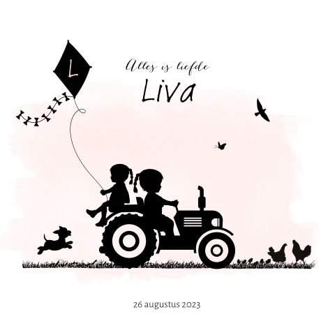 Geboortekaartje voor een zusje met tractor en vlieger