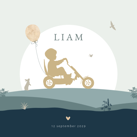 Jongen op skelter met ballon silhouet geboortekaartje