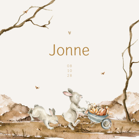 Unisex aquarel herfst geboortekaartje met konijntjes en een kruiwagen