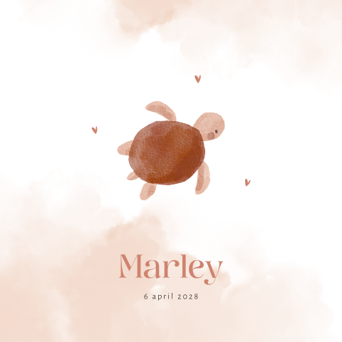 Lief geboortekaartje voor een meisje met schildpad