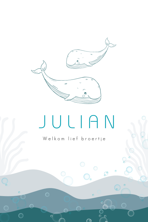Walvis geboortekaartje voor een broertje