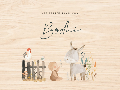 Geboorte memorybox met boerderijdieren en baby