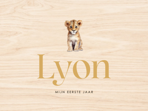Unisex geboorte memory box met leeuwtje