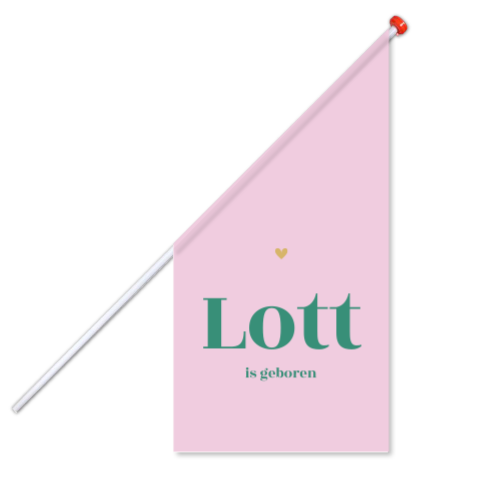 Geboortevlag meisje met colorblocking en hartje