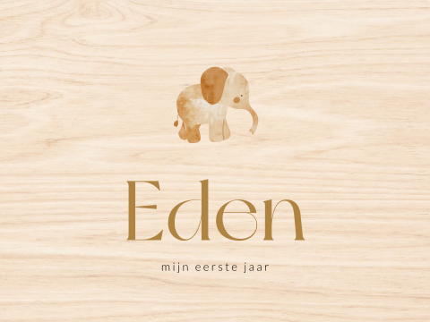 Geboorte memory box met lief olifantje