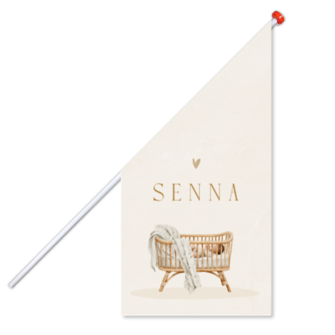 Unisex geboortevlag met rotan wieg en baby