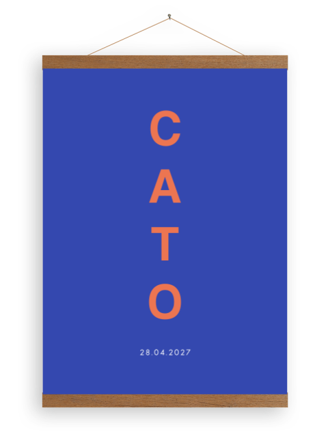 Canvasposter met felle kleuren