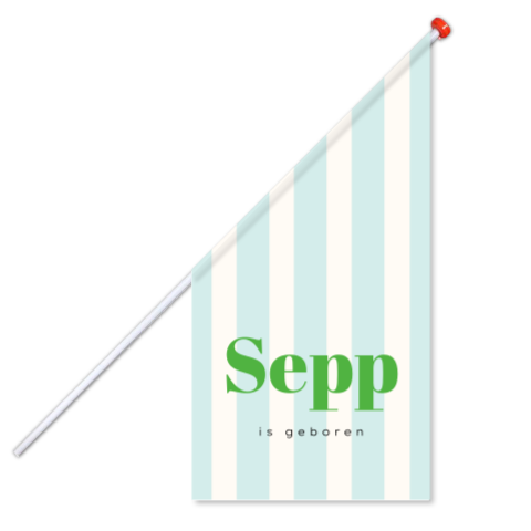 Geboortevlag jongen strepen kleurrijk