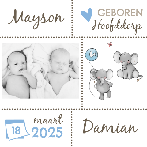 Tweeling kaartje jongen met foto en olifanten