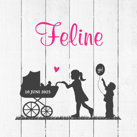 Geboortekaartje derde kindje met silhouet