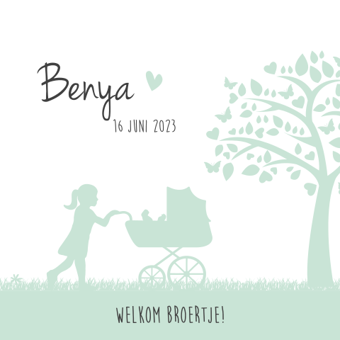 Lieve geboortekaart met silhouet broertje in kinderwagen met grote zus