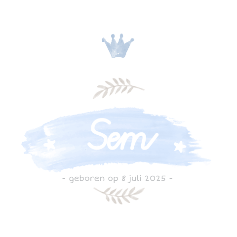 Stijlvol geboortekaartje met kroontje