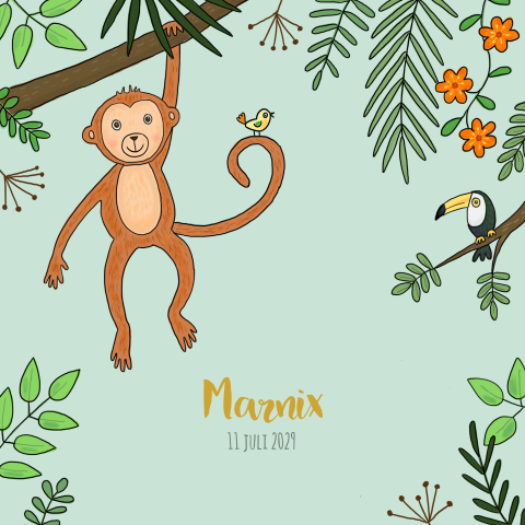 Jungle dieren geboortekaartje voor een jongen met vrolijke tekeningen