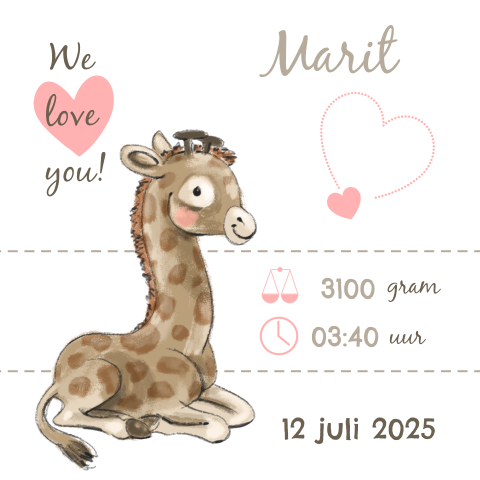 Geboortekaartje met klein girafje