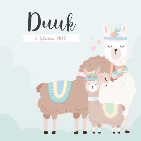 Schattig babykaartje met lama familie