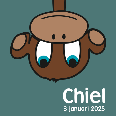 Lief geboortekaartje met aapje