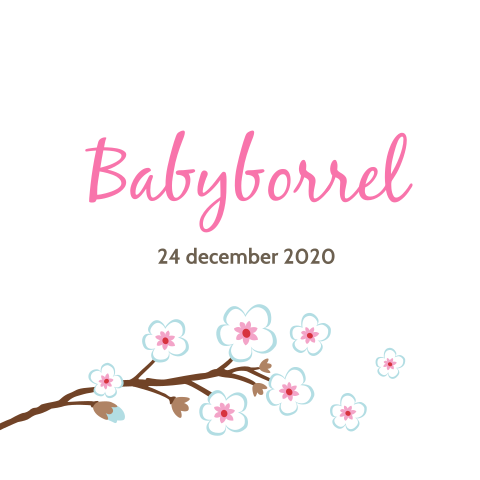 Romantisch kraamborrelkaartje met bloemen