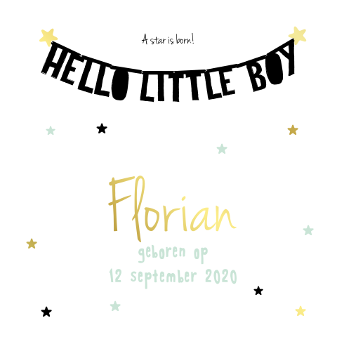Stoere goudfolie geboortekaart met letterbanner en mint elementen