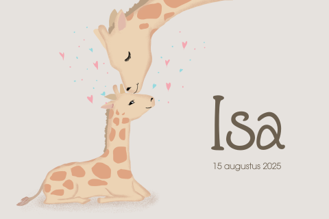 Lief geboortekaartje met getekende giraffes