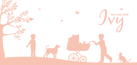 Geboortekaartje meisje met silhouet broers en zusje in kinderwagen