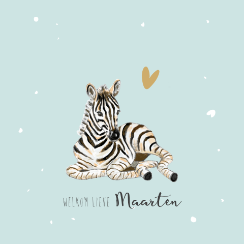 Originele babykaart met een zebra en hartje