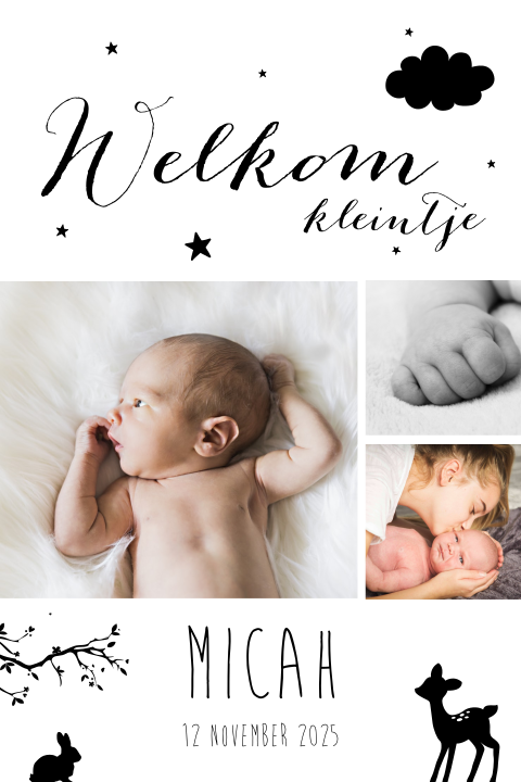 Schattig geboortekaartje jongen met foto's