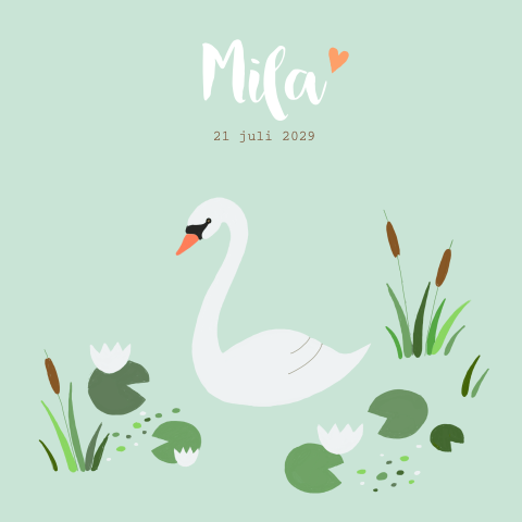 Hip geboortekaartje meisje met zwaan