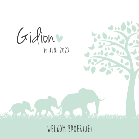 Hip geboortekaartje jongen met familie olifant