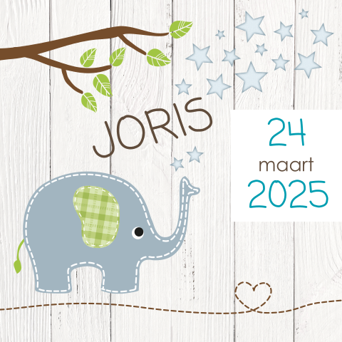 Stoer geboortekaartje met olifant en sterren