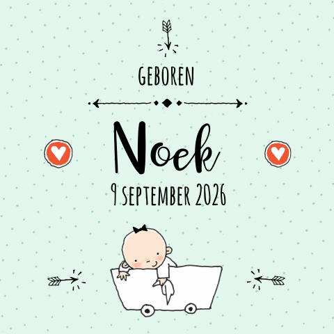 Lief geboortekaartje voor meisje mint met tekening meisje in kar