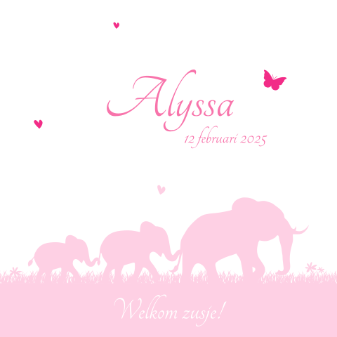 Geboortekaartje met olifanten voor meisje