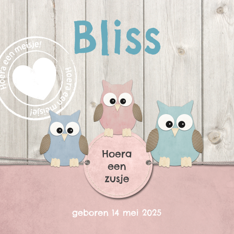 Geboortekaartje voor meisje met uiltjes en stempel op hout