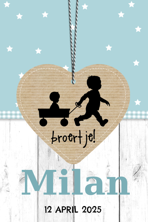 Hip geboortekaartje jongen en broertje met silhouet