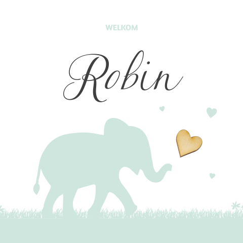 Hippe babykaart jongen met olifant en bij te bestellen houten hartje