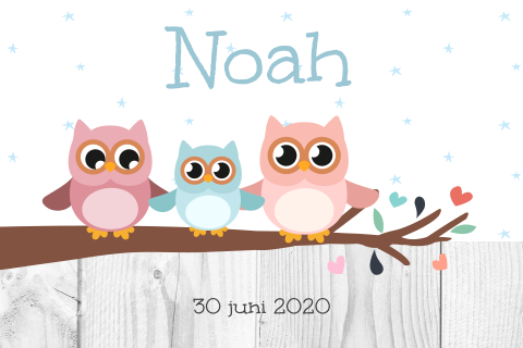 Lief geboortekaartje met baby uil en twee zussen