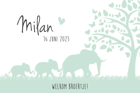 Lief babykaartje met familie olifantjes in mintgroen