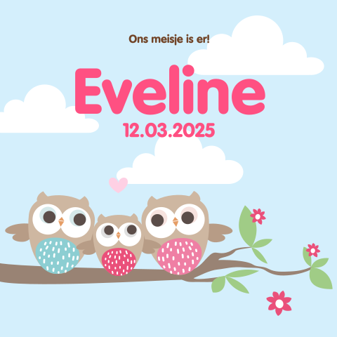 Geboortekaartje meisje met familie uil