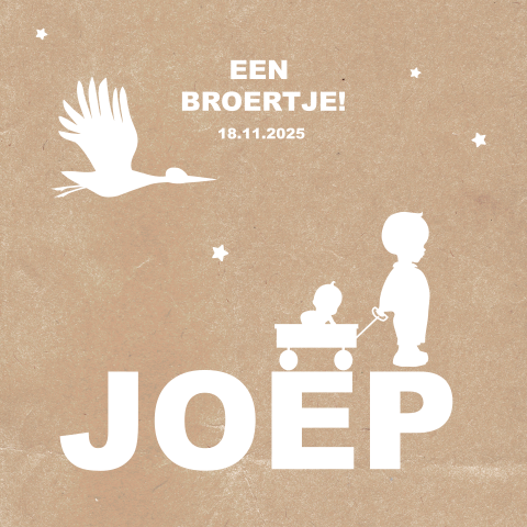 Hip geboortekaartje met silhouet van jongen en broertje