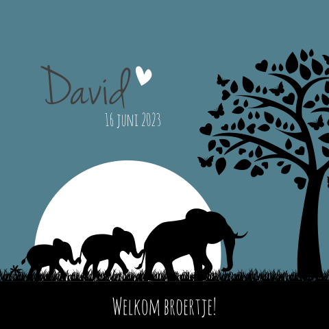 Schattig babykaartje met broertjes olifantjes, maan en boom
