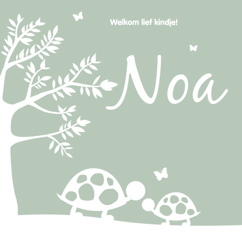 Geboortekaartje jongen en broertje met silhouetten van schildpadden
