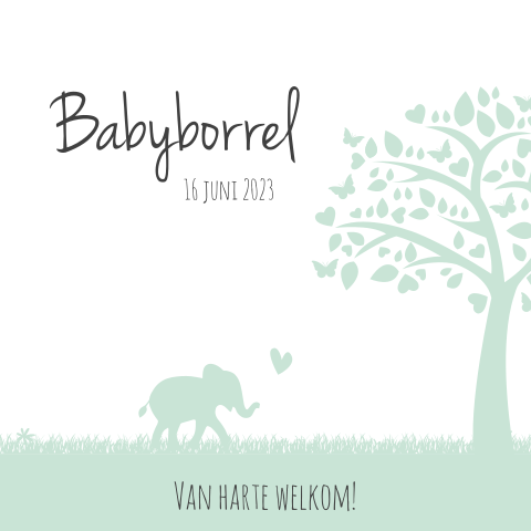 Lief kraamborrelkaartje met olifantjes