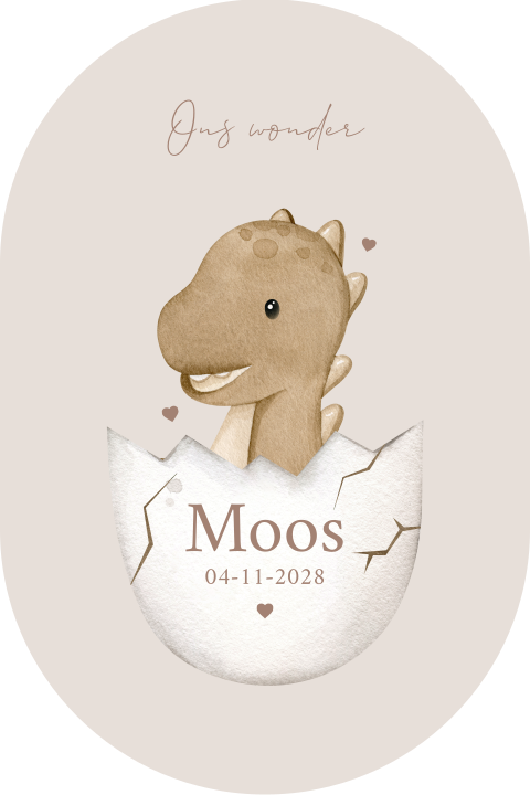 Schattig geboortekaartje met baby dino uit een ei