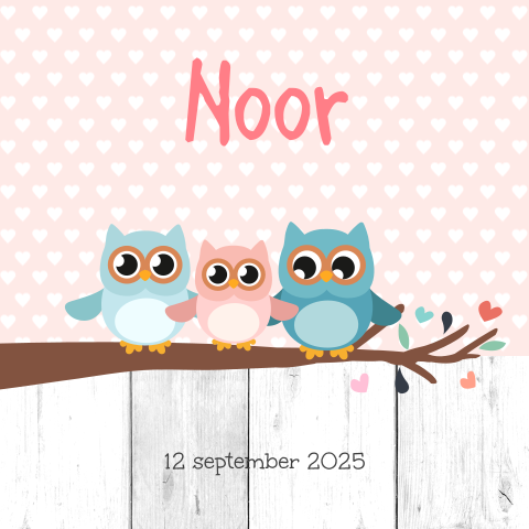Geboortekaartje 3e kindje uiltjes - Ronde hoeken