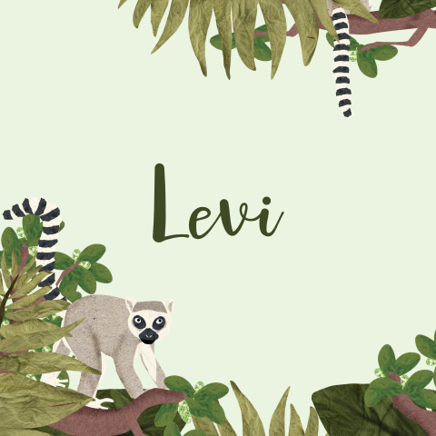 Jungle geboortekaartje met maki