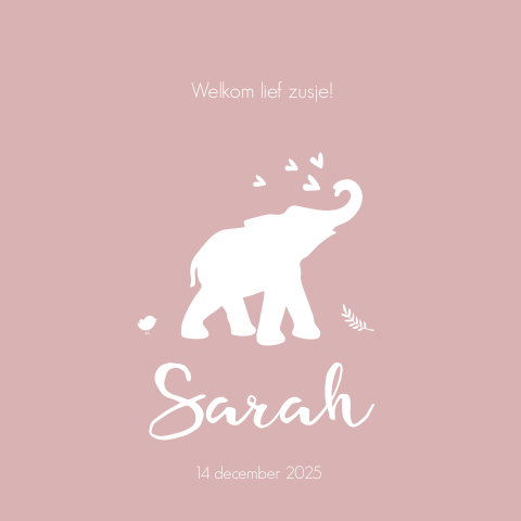 Hip geboortekaartje silhouet olifant