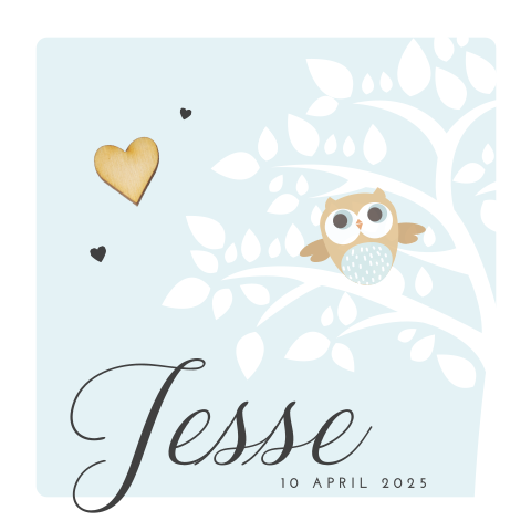 Lief geboortekaartje met uil en bij te bestellen houten hartje