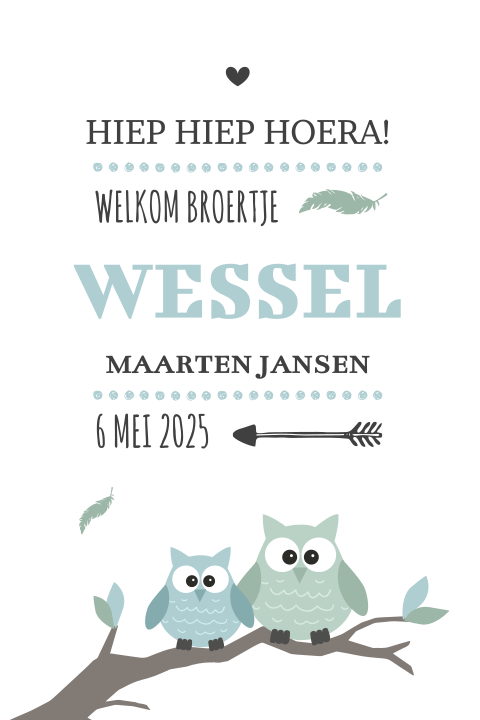 Hip geboortekaartje voor een broertje met uiltjes op een tak