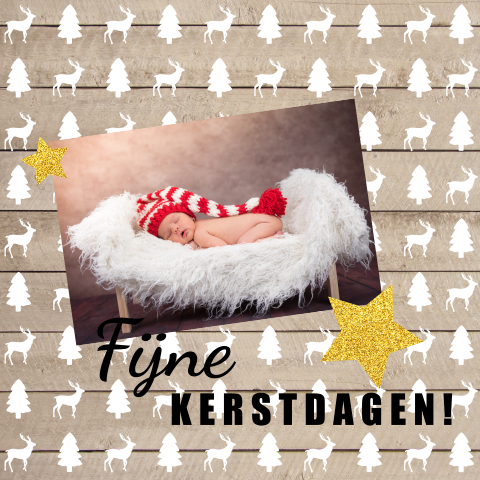 Hippe kerstkaart met rendieren en kerstbomen